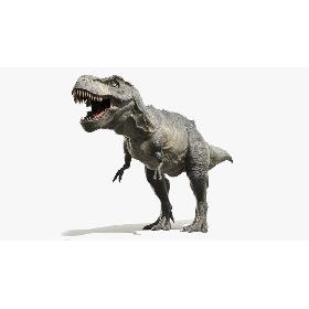 3D Tyrannosaurus Rex model